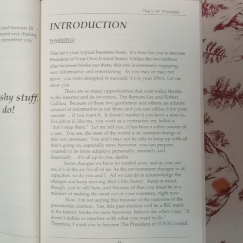 Success book - Picture 12 of 12